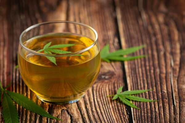 Green Tea Burn Fat